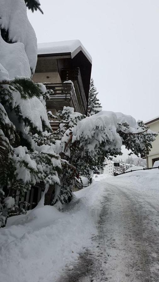 The Closest Location To The City Center And Chairlift Oulx Extérieur photo